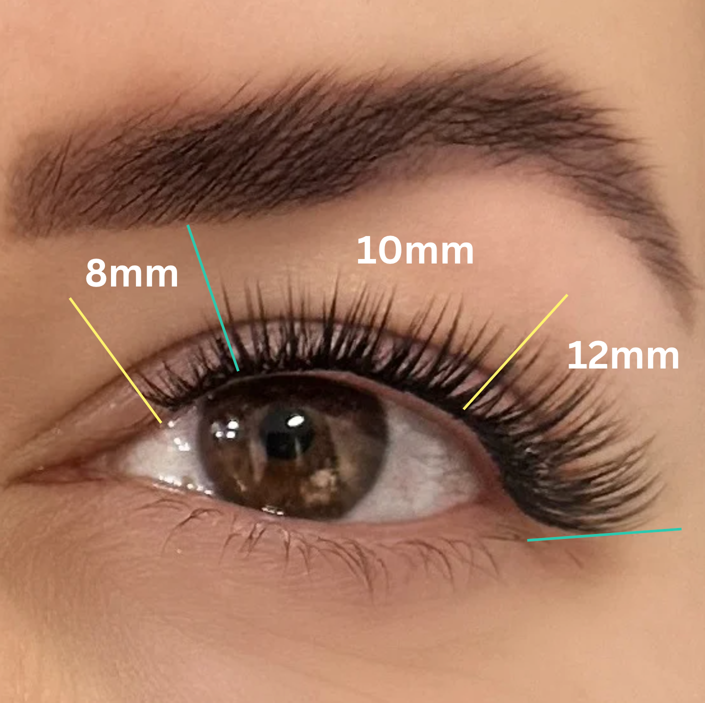 A close-up image of an eye adorned with Lash Link's LIGHT VOLUME | HERA | LASH LINK LASH EXTENSIONS RIBBON, featuring extensions of varying lengths labeled 8mm, 10mm, and 12mm.