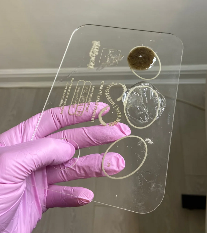 a person holding up a clear plastic INFINITY LIFT &amp; TINT PALETTE by Lash Tribe, which is used for eyebrow and lash lifting.