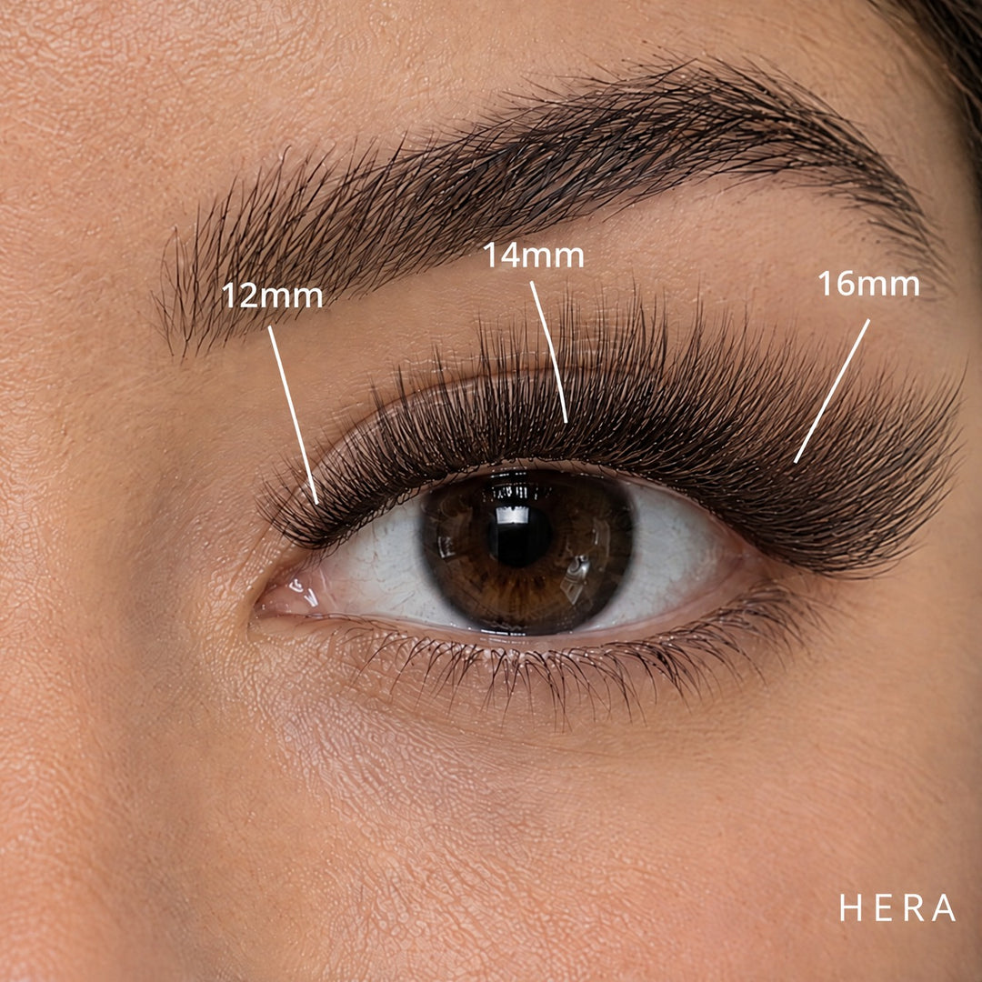 Hera light volume Lash Link lashes, Long kit mapped 12mm, 14mm, 16mm