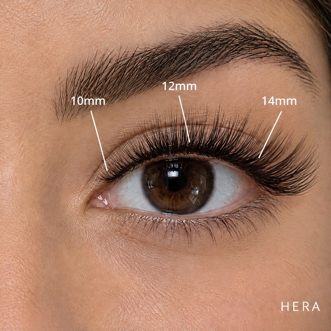 Hera light volume Lash Link lashes, Medium kit mapped 10mm, 12mm, 14mm