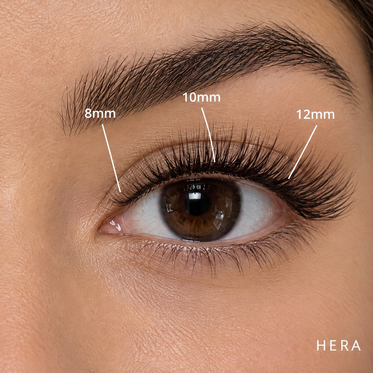 Hera light volume Lash Link lashes mapped 8mm, 10mm, 12mm