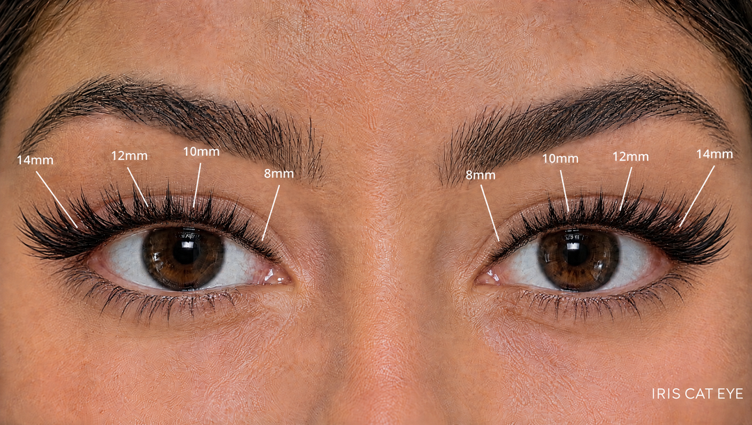 Iris Lash Link cat eye mapping 8, 10, 12, 14mm on both eyes