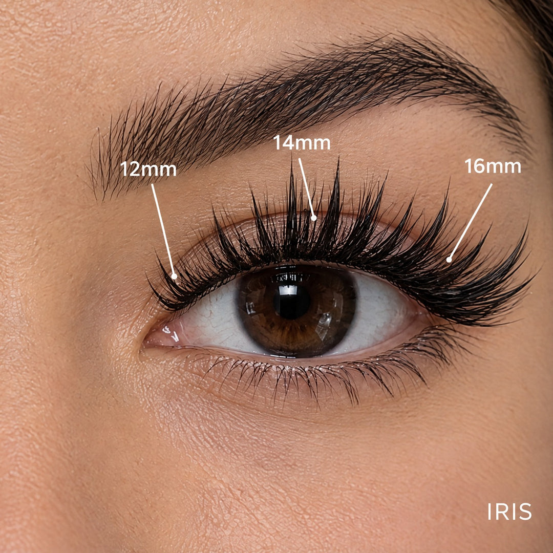 Iris spiky Lash Link lashes, Long kit mapped 12mm, 14mm, 16mm