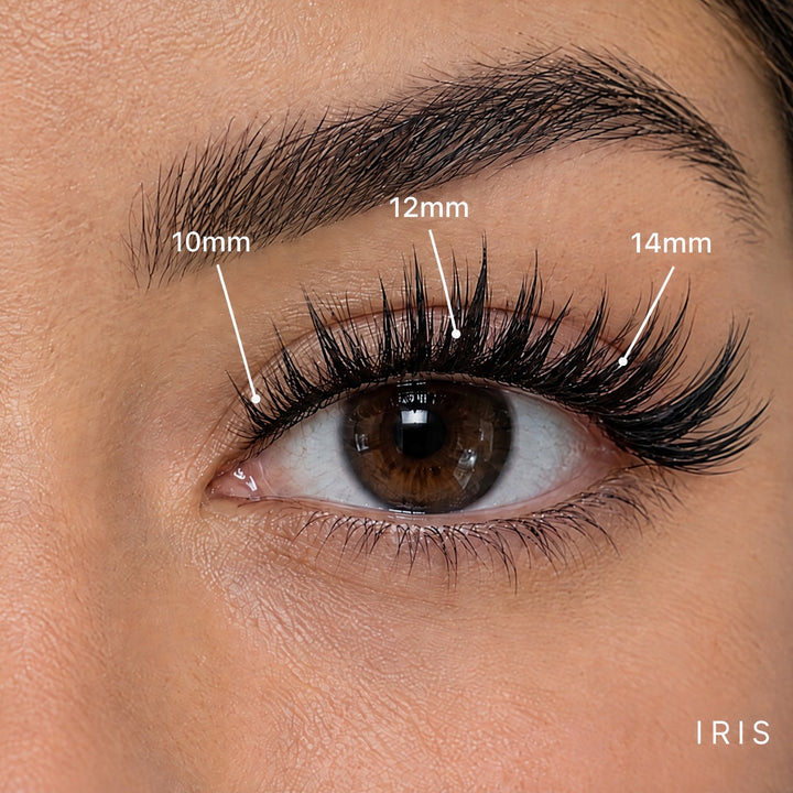 Iris spiky Lash Link lashes, Medium kit mapped 10mm, 12mm, 14mm