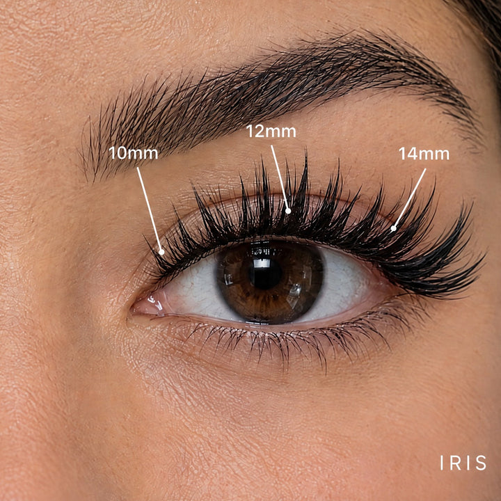 Iris spiky Lash Link lashes mapped 10mm, 12mm, 14mm