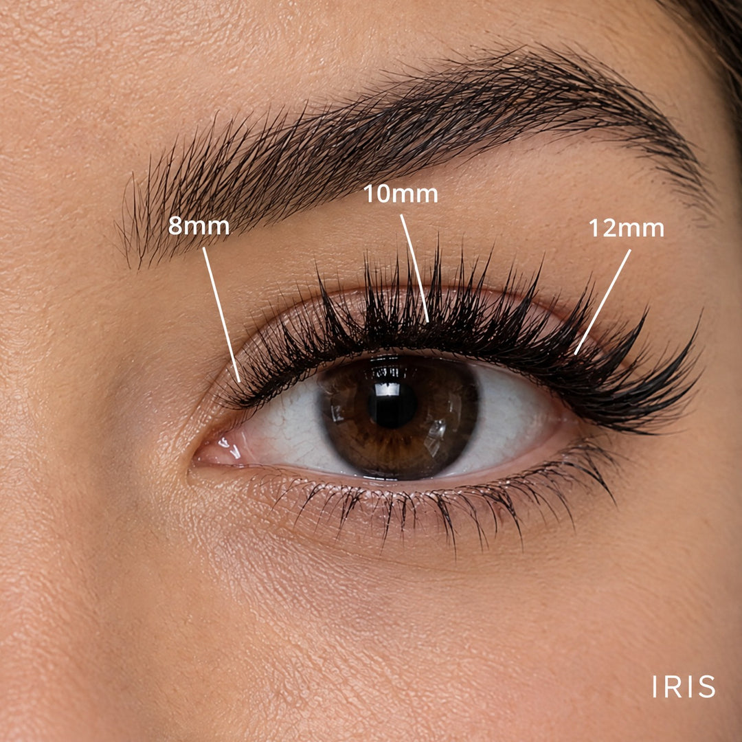 Iris spiky Lash Link lashes, Short kit mapped 8mm, 10mm, 12mm