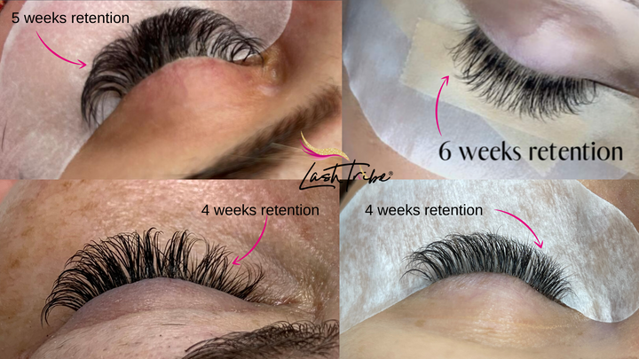 A series of photos showing the process of lash extensions in the Lash Tribe Online Lash Course, highlighting Retention Secrets.
