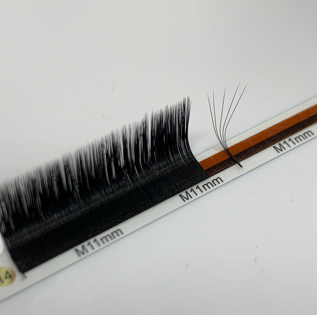 A pair of Lash Tribe&