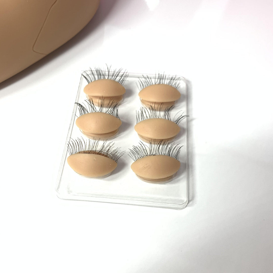 Artificial eyelash practice pads arranged in two rows of three on a transparent tray, placed on a white surface, perfect for honing your lash application skills. Enhance your experience by pairing them with the Lash Tribe Mannequin Practice Head featuring interchangeable eyelids.